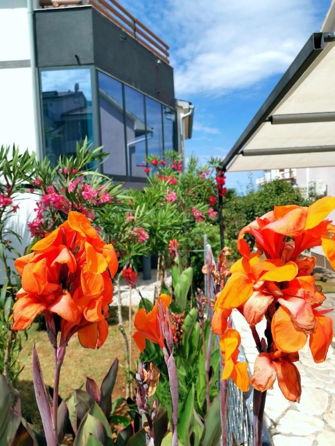 Apartmani Andrea プーラ エクステリア 写真