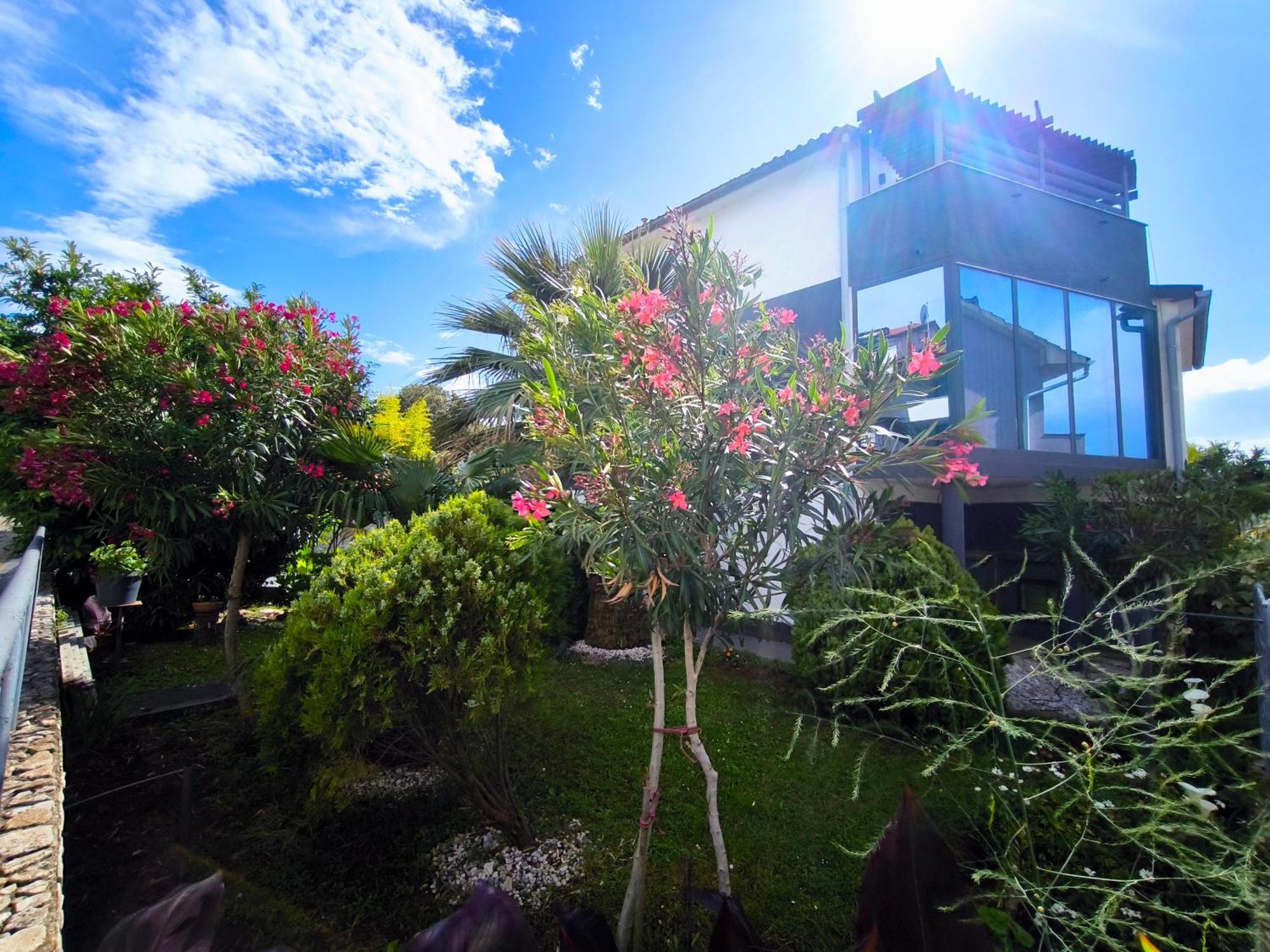 Apartmani Andrea プーラ エクステリア 写真